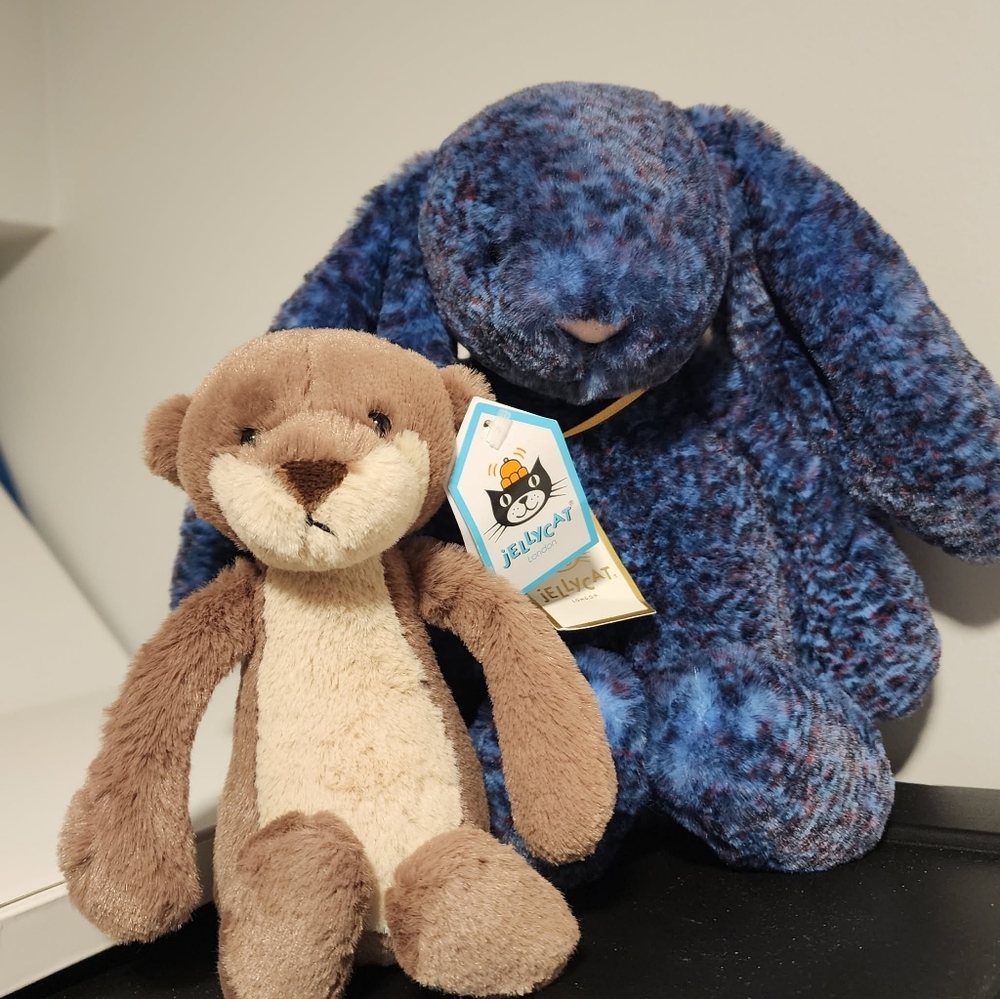 Bnwt super rare retired bashful otter small jellycat